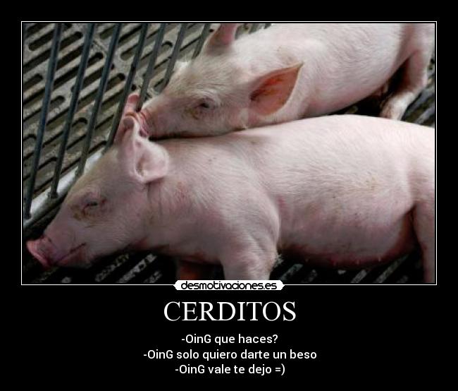 CERDITOS - 