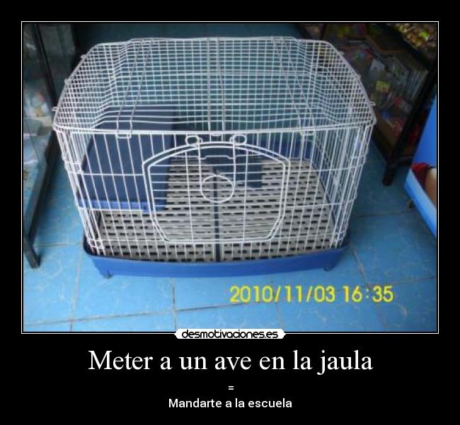 Meter a un ave en la jaula - =
Mandarte a la escuela