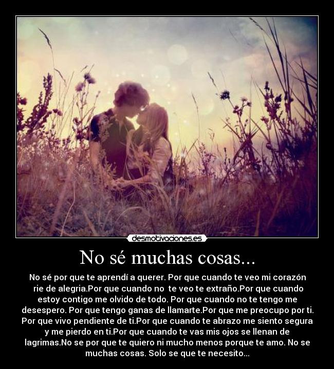 No sé muchas cosas... - No sé por que te aprendí a querer. Por que cuando te veo mi corazón
 rie de alegria.Por que cuando no  te veo te extraño.Por que cuando
estoy contigo me olvido de todo. Por que cuando no te tengo me
desespero. Por que tengo ganas de llamarte.Por que me preocupo por ti.
Por que vivo pendiente de ti.Por que cuando te abrazo me siento segura
y me pierdo en ti.Por que cuando te vas mis ojos se llenan de
lagrimas.No se por que te quiero ni mucho menos porque te amo. No se
muchas cosas. Solo se que te necesito...
