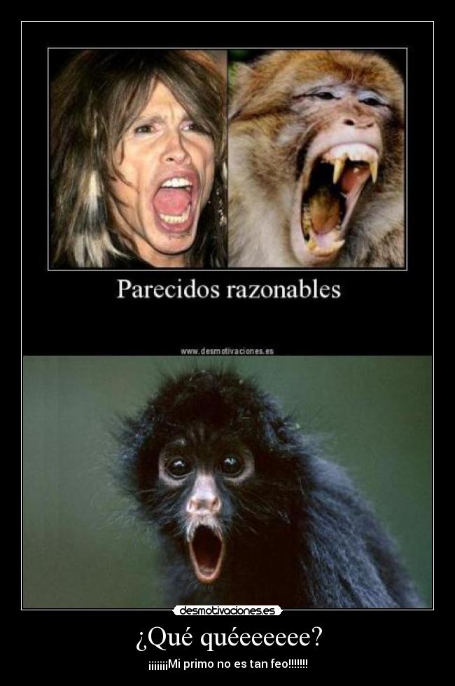 ¿Qué quéeeeeee? -