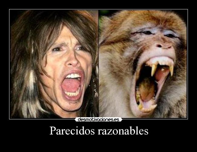 Parecidos razonables -