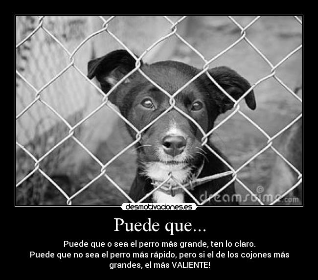 Puede que... - 