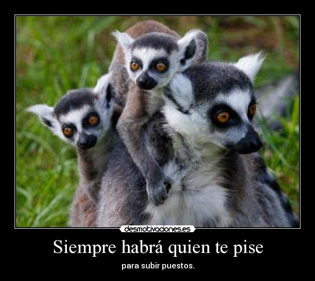 Siempre habrá quien te pise - 