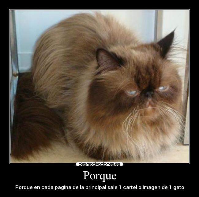 Porque -