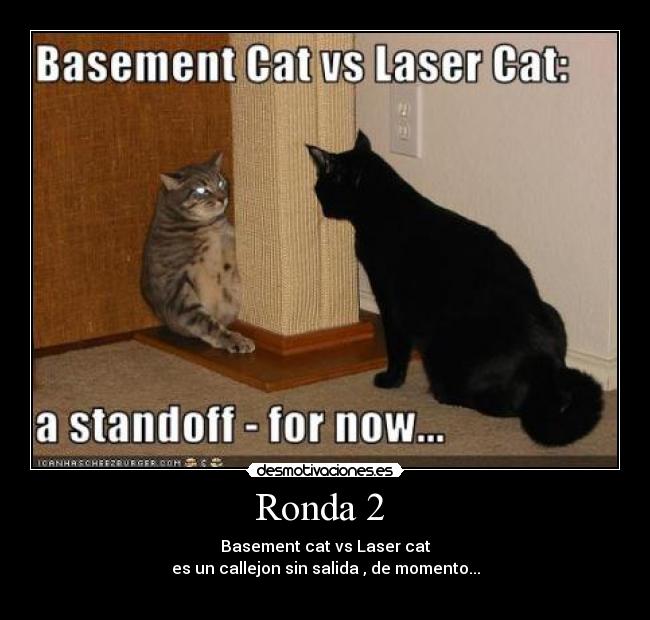 Ronda 2 - Basement cat vs Laser cat
es un callejon sin salida , de momento...
