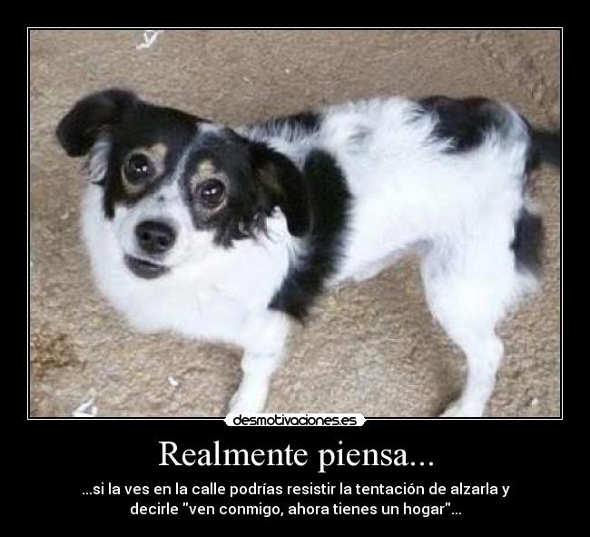 Realmente piensa... -