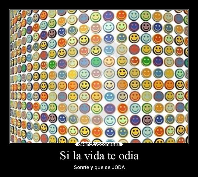 carteles vida sonrie desmotivaciones