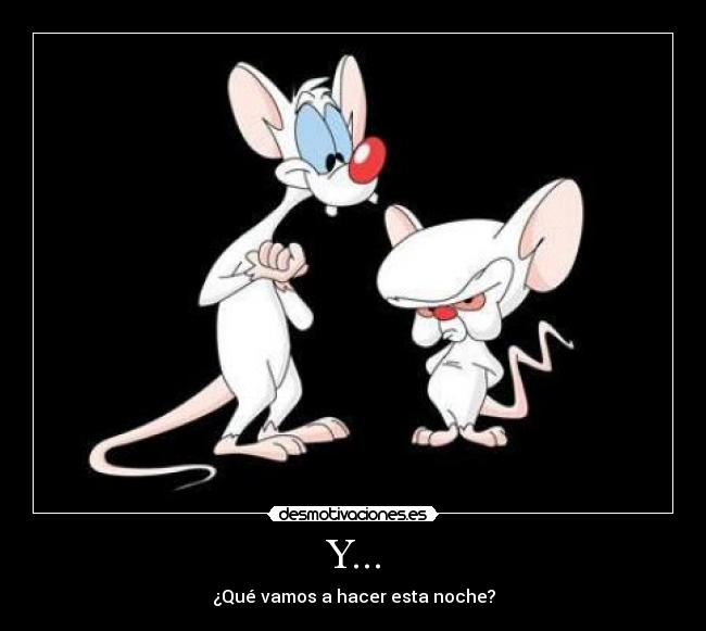 Y... - ¿Qué vamos a hacer esta noche?