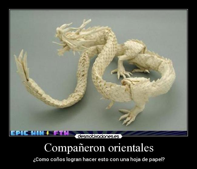 Compañeron orientales - ¿Como coños logran hacer esto con una hoja de papel?