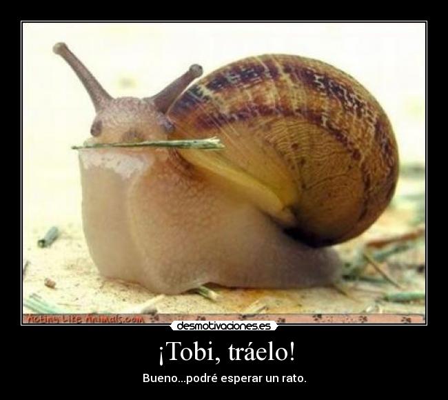 ¡Tobi, tráelo! - Bueno...podré esperar un rato.