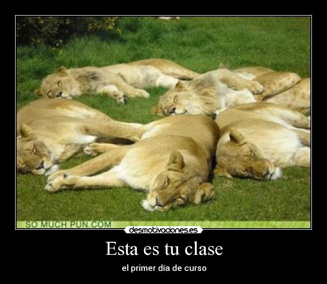 carteles esta clase primer dia curso desmotivaciones
