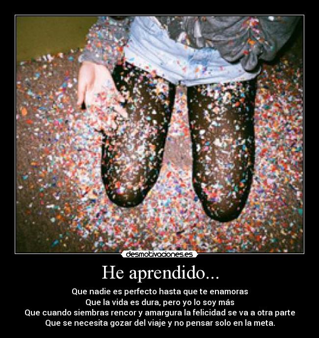 carteles aprendido desmotivaciones