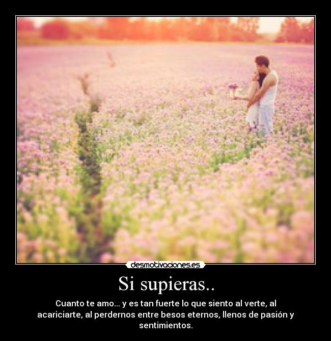 Si supieras.. - Cuanto te amo... y es tan fuerte lo que siento al verte, al
acariciarte, al perdernos entre besos eternos, llenos de pasión y
sentimientos.