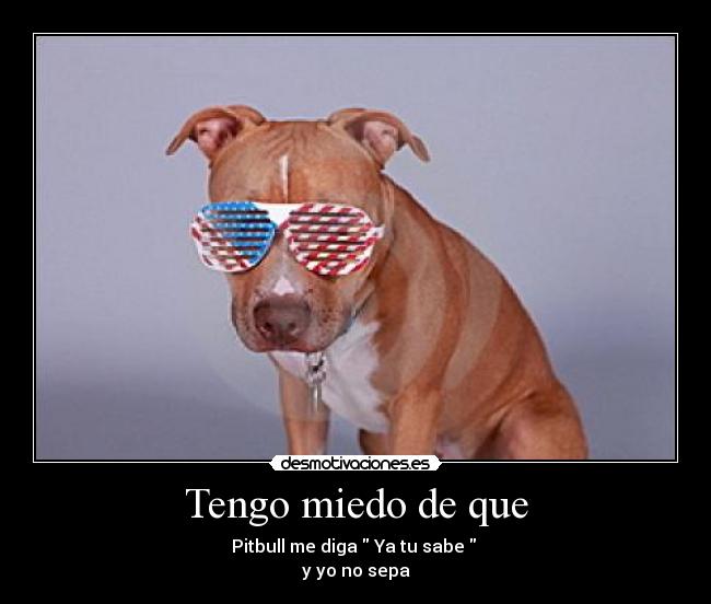 Tengo miedo de que - Pitbull me diga  Ya tu sabe  
y yo no sepa