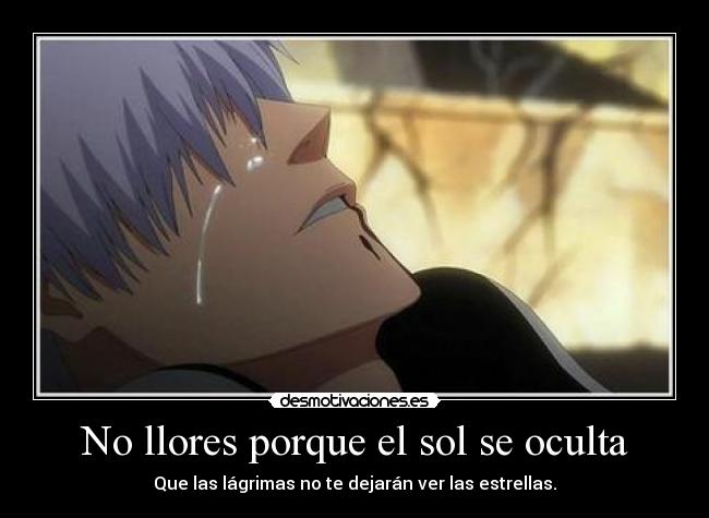 carteles casio desmotivaciones