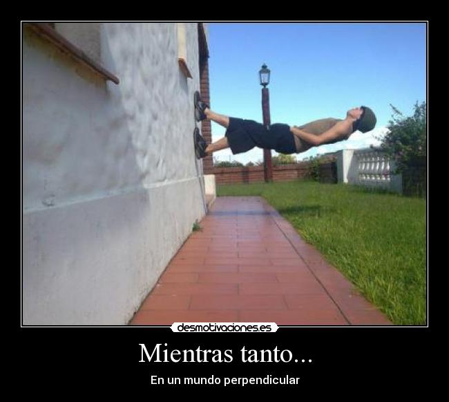 Mientras tanto... - En un mundo perpendicular