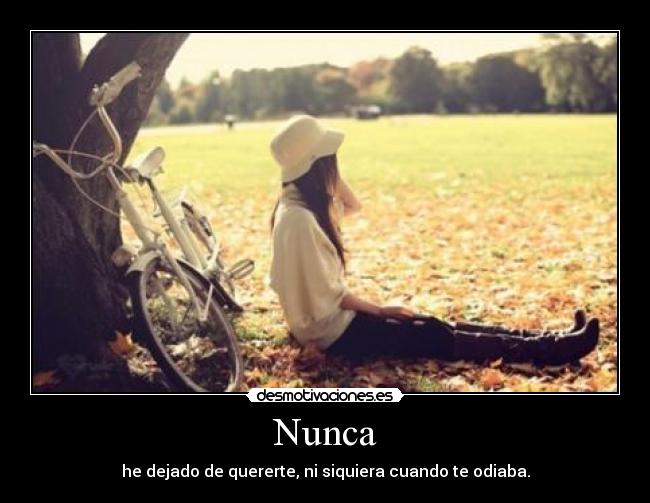 Nunca - he dejado de quererte, ni siquiera cuando te odiaba.