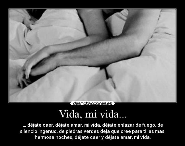 carteles vida vida vida desmotivaciones