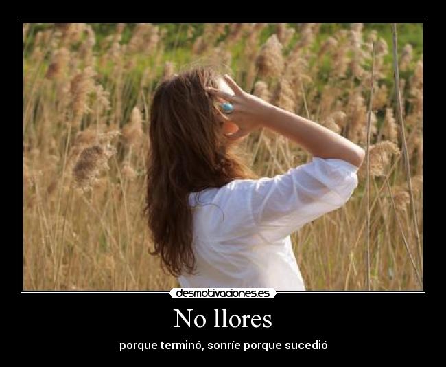 carteles sonrie llores termino sucedio desmotivaciones