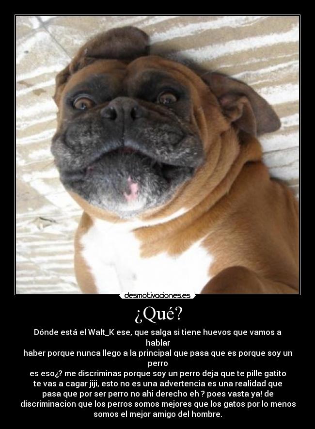 ¿Qué? - Dónde está el Walt_K ese, que salga si tiene huevos que vamos a
hablar
haber porque nunca llego a la principal que pasa que es porque soy un
perro
es eso¿? me discriminas porque soy un perro deja que te pille gatito
te vas a cagar jiji, esto no es una advertencia es una realidad que
pasa que por ser perro no ahi derecho eh ? poes vasta ya! de
discriminacion que los perros somos mejores que los gatos por lo menos
somos el mejor amigo del hombre.