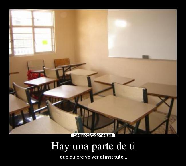 carteles desm desmotivaciones