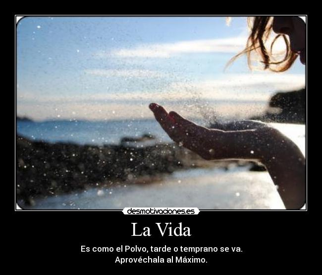 La Vida - 