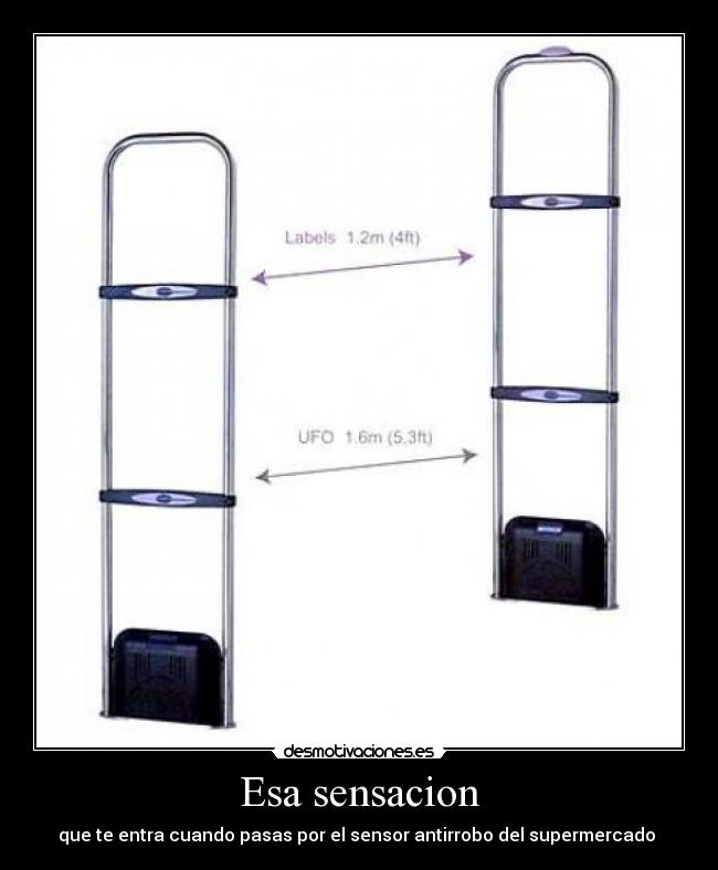 carteles sensor antirrobo desmotivaciones