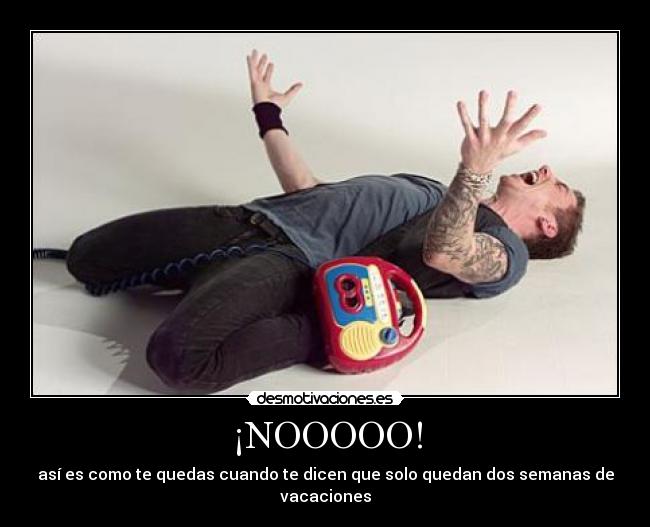 ¡NOOOOO! - así es como te quedas cuando te dicen que solo quedan dos semanas de vacaciones