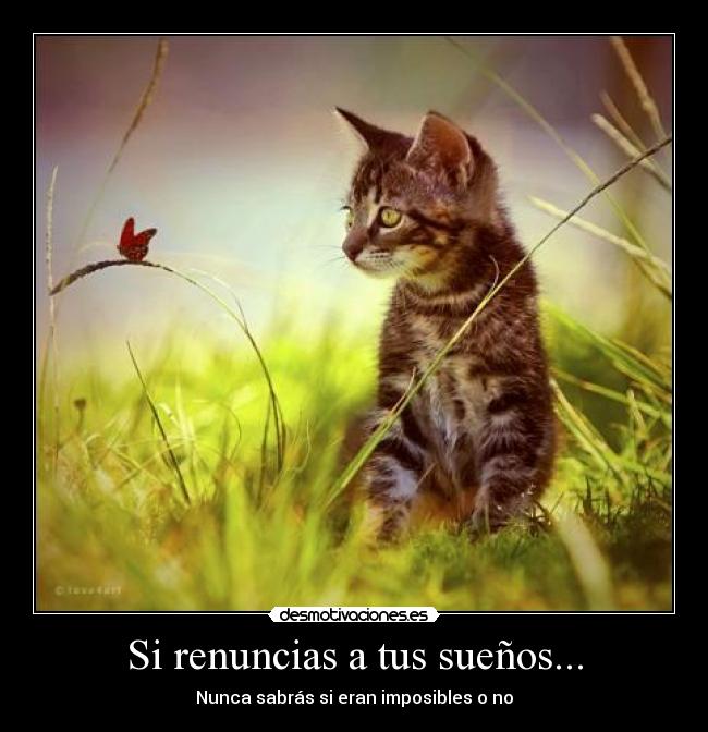 Si renuncias a tus sueños... -