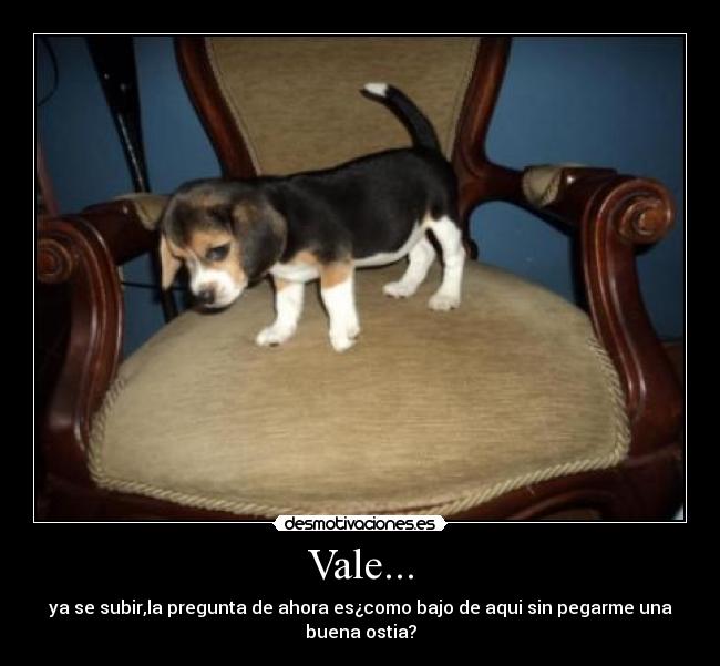 Vale... -