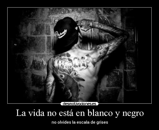 carteles vida vida desmotivaciones