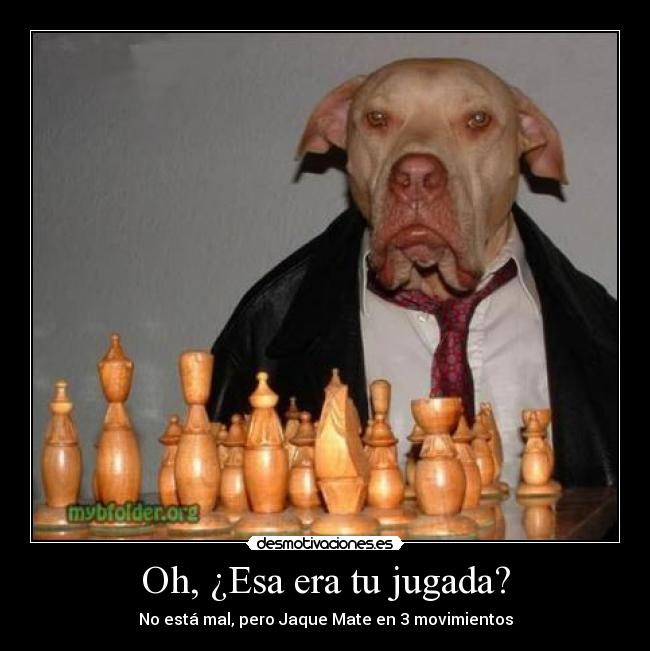 Oh, ¿Esa era tu jugada? -