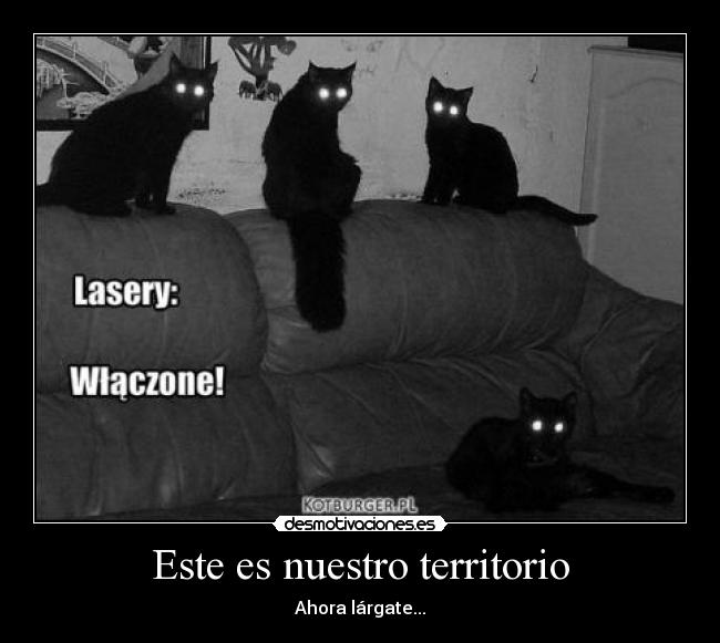 Este es nuestro territorio - Ahora lárgate...