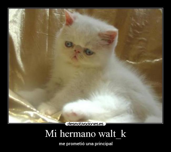 Mi hermano walt_k - me prometió una principal