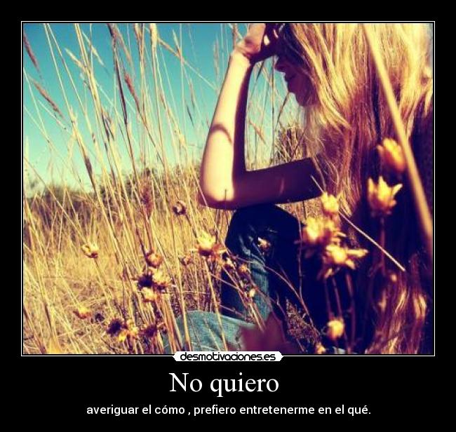 No quiero  - 