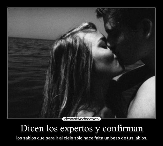 Dicen los expertos y confirman -