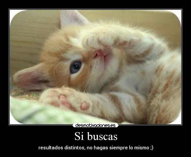 Si buscas - resultados distintos, no hagas siempre lo mismo ;)