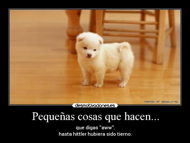 carteles perrito chiquito hittler tierno desmotivaciones