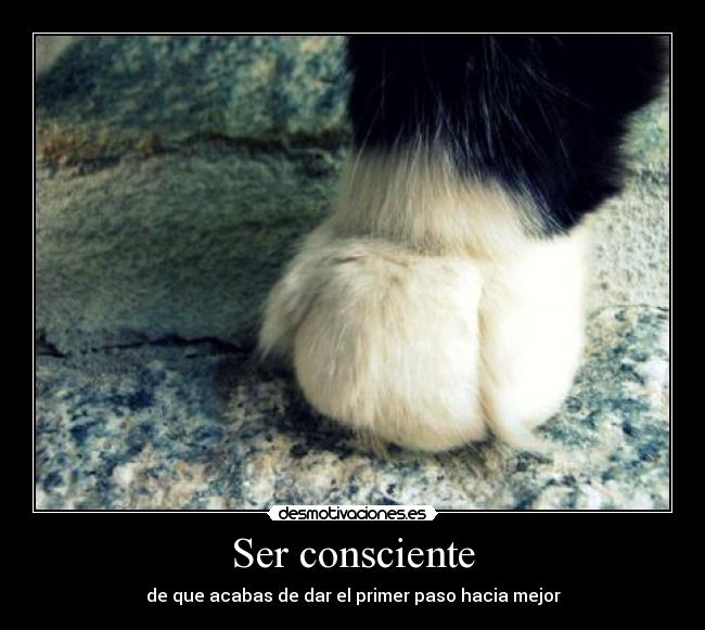 Ser consciente -