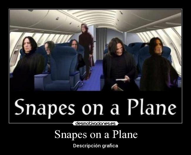 Snapes on a Plane - Descripción grafica