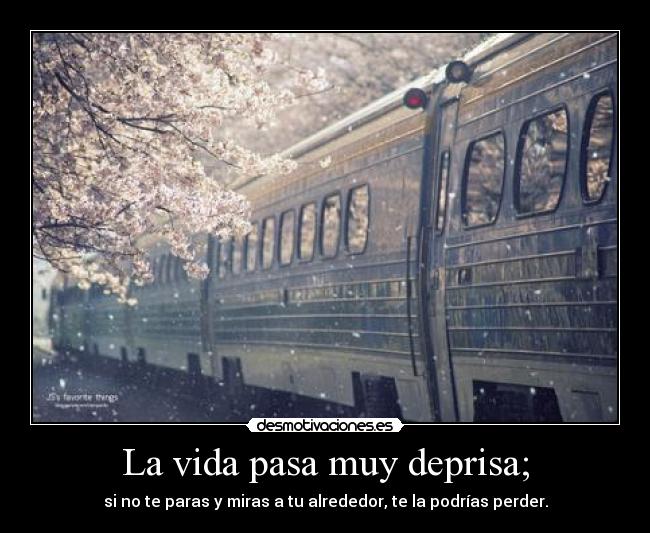 La vida pasa muy deprisa; - si no te paras y miras a tu alrededor, te la podrías perder.