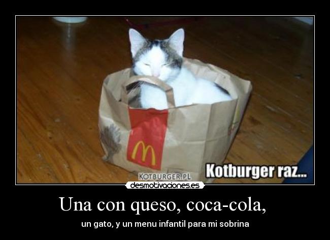 Una con queso, coca-cola, - un gato, y un menu infantil para mi sobrina