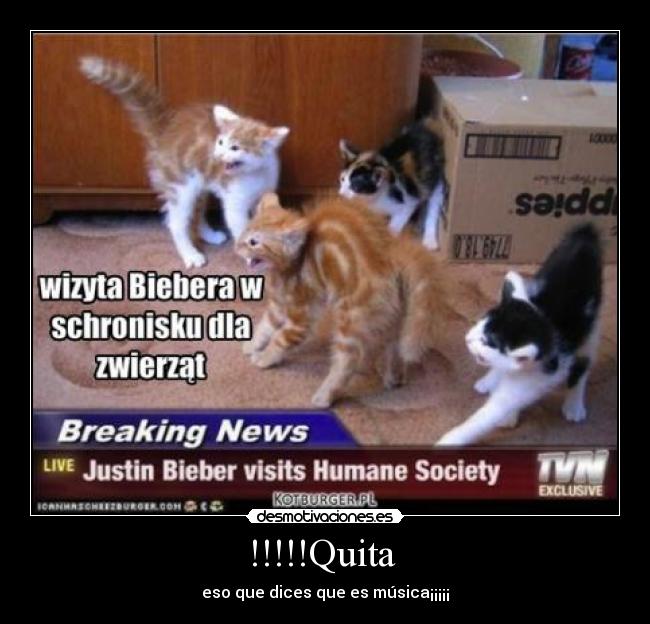 !!!!!Quita - eso que dices que es música¡¡¡¡¡