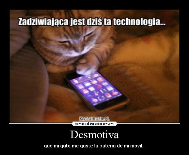 Desmotiva - que mi gato me gaste la bateria de mi movil...