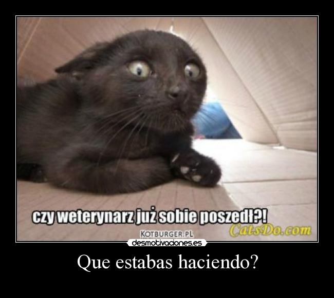 Que estabas haciendo? -