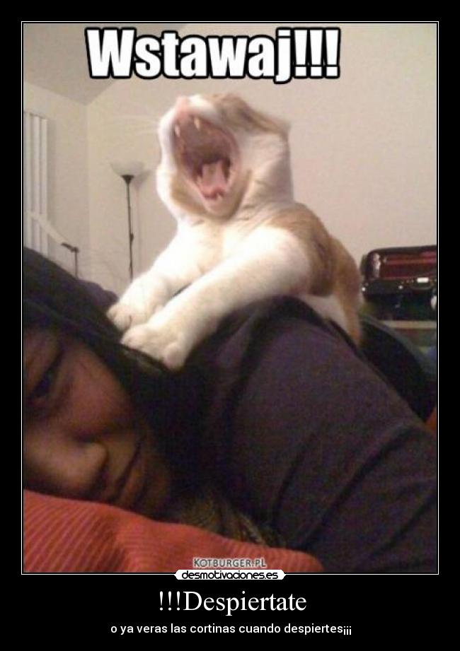 !!!Despiertate - o ya veras las cortinas cuando despiertes¡¡¡