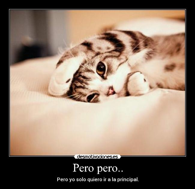 carteles xdddddddddddddddddddddddddddddddddddd desmotivaciones