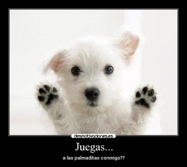 Juegas... - 