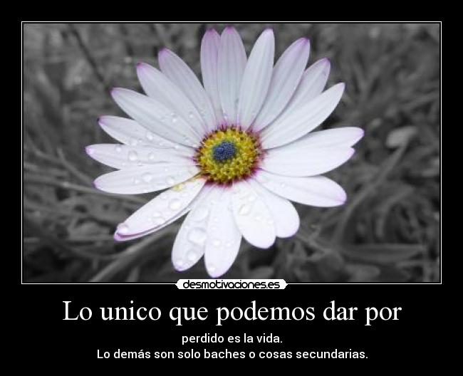 carteles josecarlosjusepeelperiodicodejusepeparanollas desmotivaciones