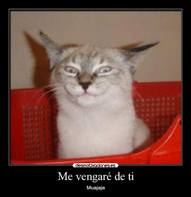 Me vengaré de ti - 